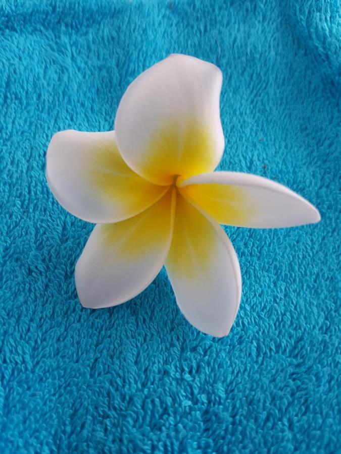La Perle Marine Apartment แซ็งต์-เลอ ภายนอก รูปภาพ